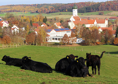 Qualit&aumlt aus der Region